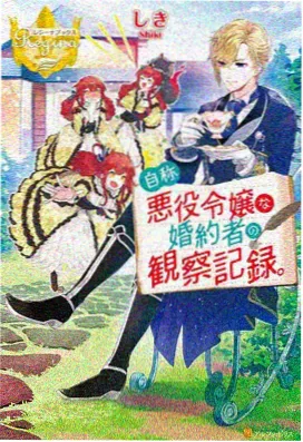 笨女孩中文字幕1080P版本海报